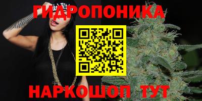 каннабис Волжский