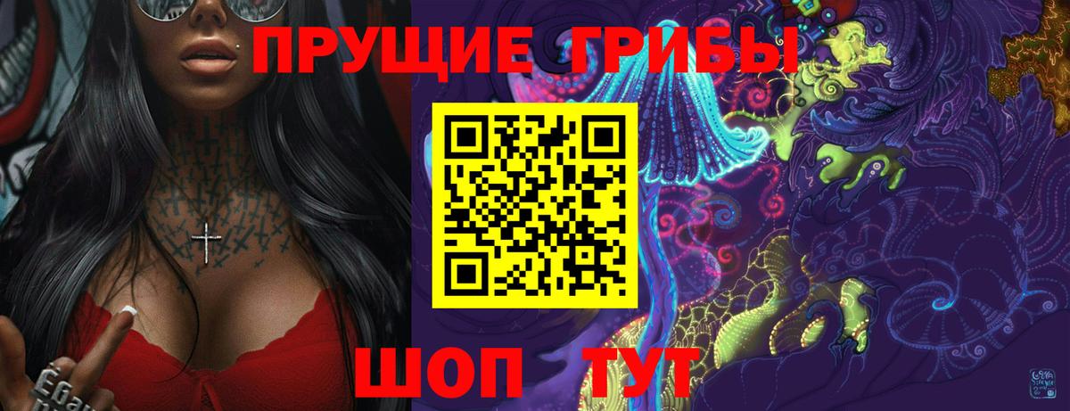 как найти наркотики  Галлюциногенные грибы GOLDEN TEACHER  Вход с VPN  Нижний Новгород 
